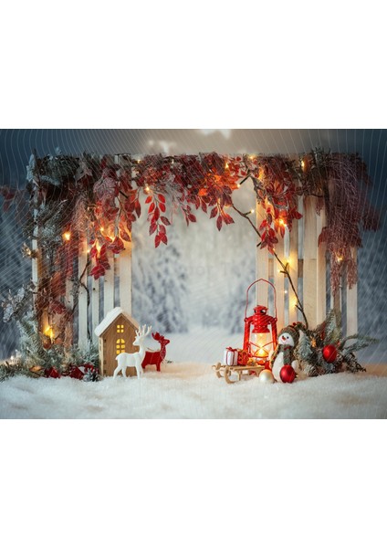 Kış Masalı Temalı 200X150CM Stüdyo Fonu Arka Plan