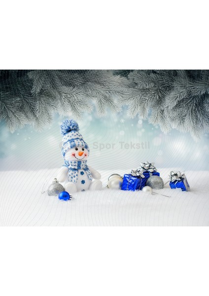 Mavi Detaylı Kış Harikası Arka Plan 200 x 150 cm Stüdyo Fonu