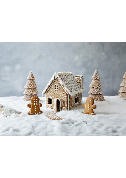 Zencefilli Kurabiye Köyü Temalı Stüdyo Fonu 200 x 150 cm Arka Plan