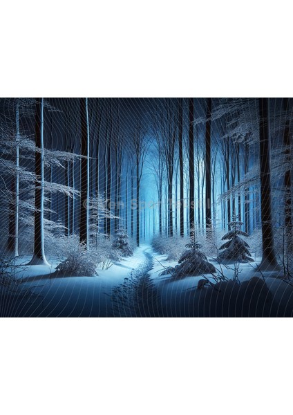 Gizemli Kış Ormanında Gece Yürüyüşü Arka Plan, 200X150CM Stüdyo Fonu