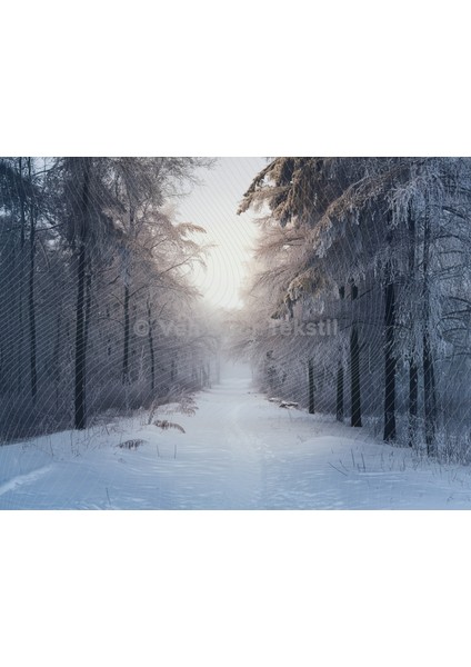 Karlarla Kaplı Kış Ormanı Arka Plan - 200X150CM Stüdyo Fonu