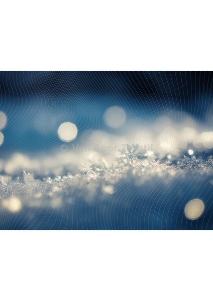 Makro Kar Tanesi ve Işıltılı Kış Atmosferi Arka Planı | 200X150CM Stüdyo Fonu