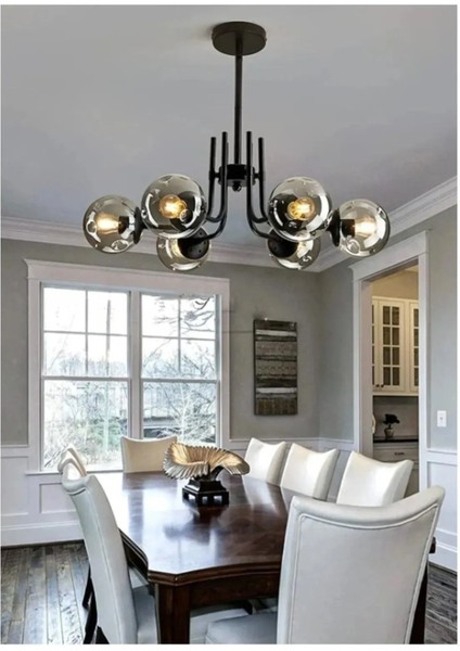 Tanya Modern Tasarım Mutfak - Salon - Yatak Odası - Tavan Siyah Renk Füme Camlı 6 Lı Avize