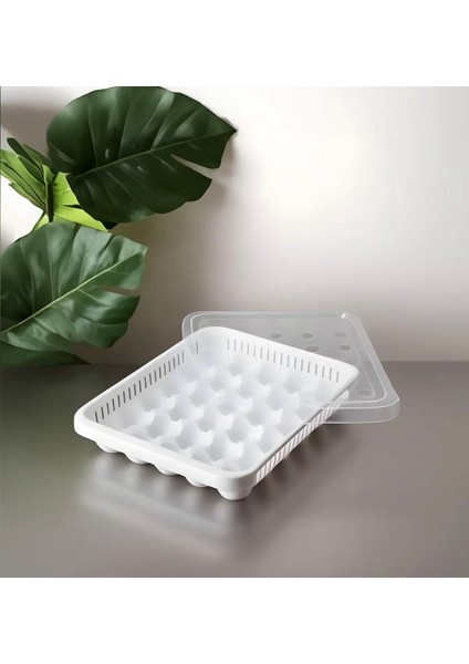 30'lu Plastik Yumurta Saklama Kabı,beyaz