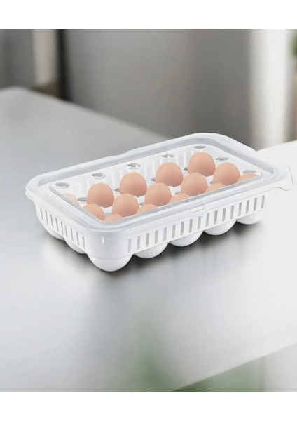 15'li Plastik Yumurta Saklama Kabı,beyaz fiyatları