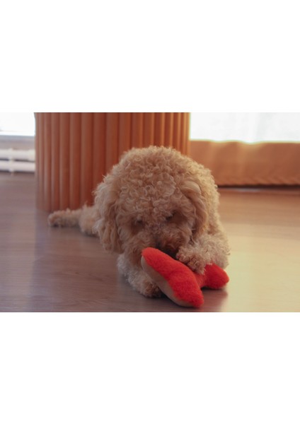 Bony The Bone, köpekler için pelüş kemik oyuncak modelleri