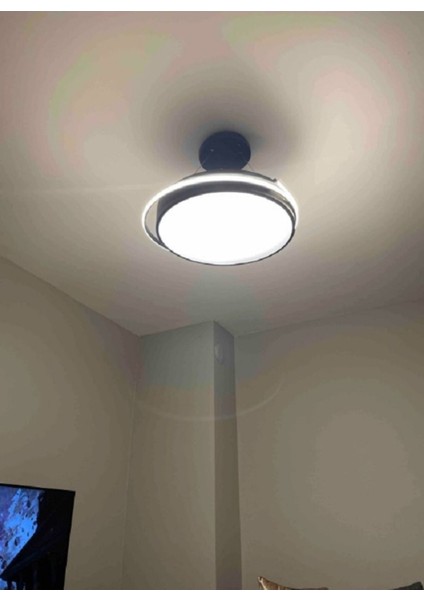 Lara / Sarkıt Avize / 75 cm / Çemberli / 3 Renk Işık / Antrasit Gövde fiyatları