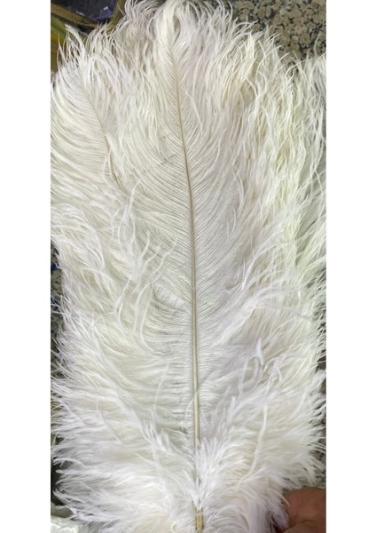 Glop Camlı Deve Kuşu Tüyü Gold Beyaz Modern Tasarım Avize indirimleri