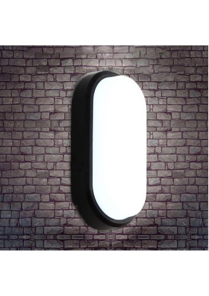 20W Oval LED Nem Su Geçirmez Banyo Bahçe Modern Tavan Lambası Siyah Kasa Beyaz Işık Aydos-20
