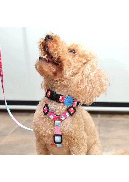 Dog.ist Follow Your Unicorn Premium Sürdürülebilir Küçük ve Büyük Irk H Tipi Köpek Göğüs Tasması