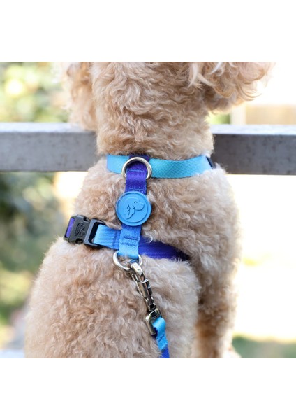 Dog.ist Ocean Premium Sürdürülebilir Küçük Irk H Tipi Köpek Göğüs Tasması