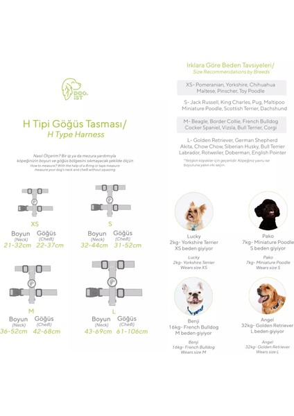 Dog.ist Ocean Premium Sürdürülebilir Küçük Irk H Tipi Köpek Göğüs Tasması