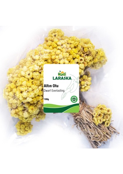 Altın Otu Demet 100G - Dwarf Everlasting