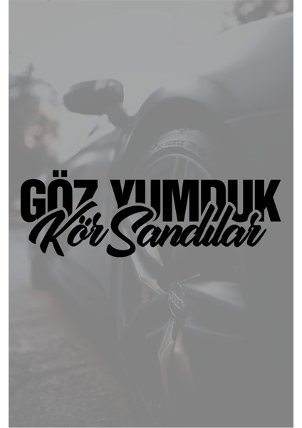 18 x 6 cm Göz Yumduk Kör Sandılar Oto Sticker Araba Cam Sticker
