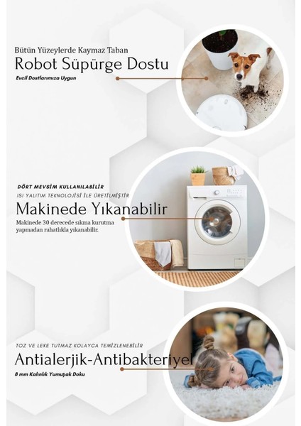 Dokuma Modern Desen Salon Halısı