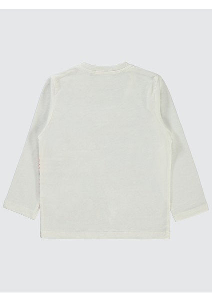 Erkek Çocuk Sweatshirt 2-5 Yaş Beyaz fiyatları
