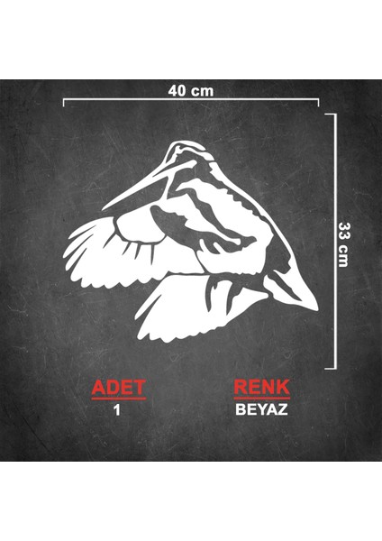 Çulluk Sticker - Kuş Sticker - Oto Sticker - Araba Sticker - Araç Sticker
