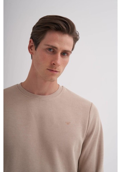 Erkek 5153 Waffle Sweat 24KCEEO05153 modelleri