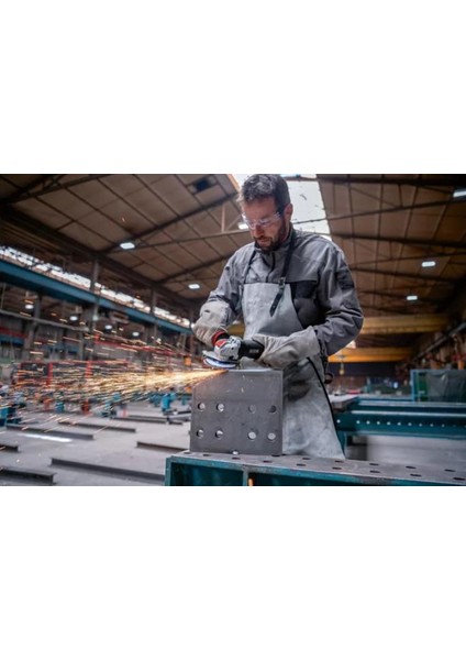 Gwx 17-125 Psb X-Lock Avuç Taşlama 1700W fiyatları