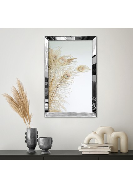 Gümüş Aynalı Pleksi Çerçeveli Minimalist Beyaz Altın Sarısı Tavus Kuş Tüylü Soyut Çizim Tablo fiyatları
