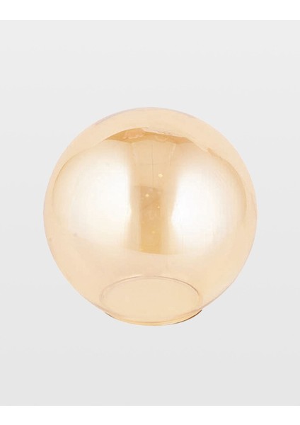 15 cm Bal Glop Fanus Avize Camı