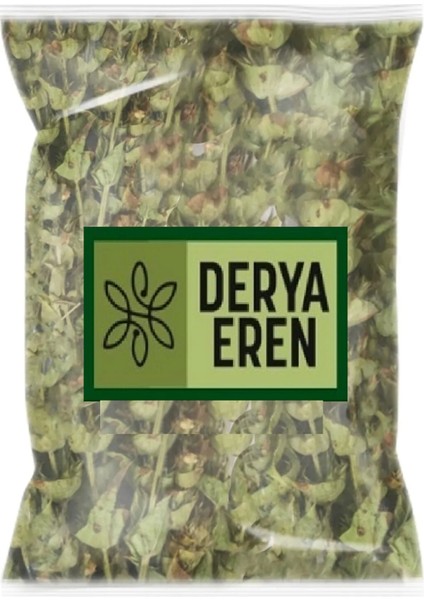 Yayla Çayı Anamur Adaçayı 500g