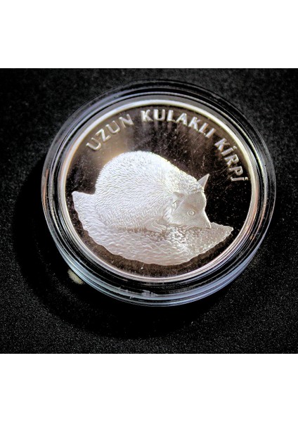 Türkiye Nin Hayvanları Kirpi 38.61 Mm. Gümüş Sertifikalı Hatıra Parası