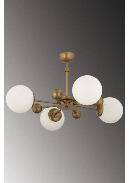 Noirobi 4'lü Eskitme Kasa Beyaz Glop Camlı Avize fiyatları