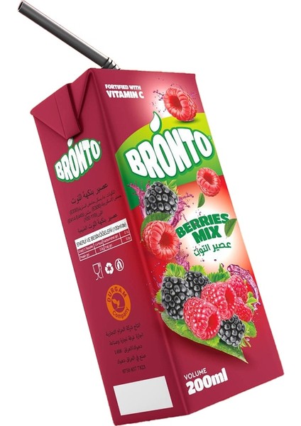Bronto Meyve Suyu Dut Aromalı 200ML