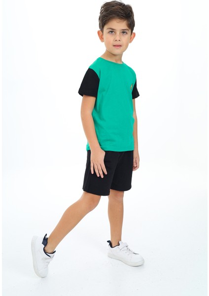 Erkek Çocuk Baskılı Şortlu Takım modelleri