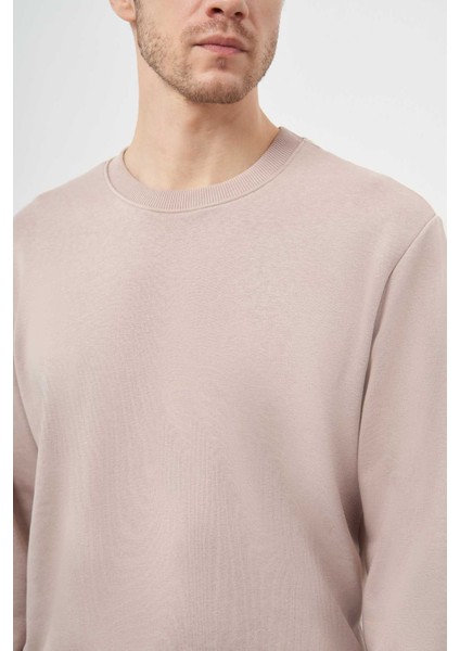 Erkek Taş Basic Bisiklet Yaka Sweat-Shirt fırsatları