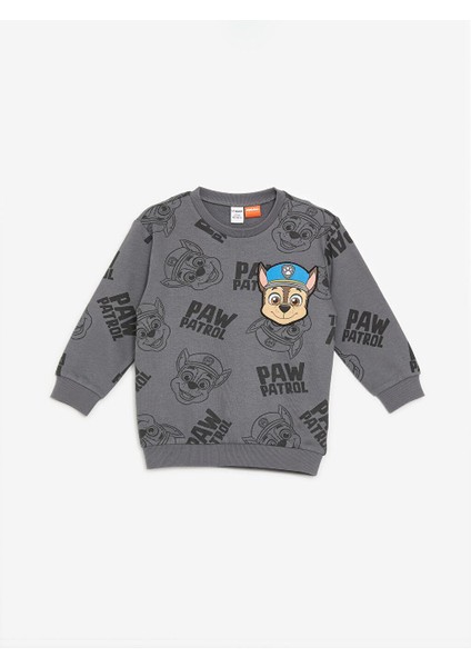 Baskılı Paw Patrol Baskılı Erkek Çocuk Sweatshirt ve Eşofman Alt 2'li Takım fiyatları