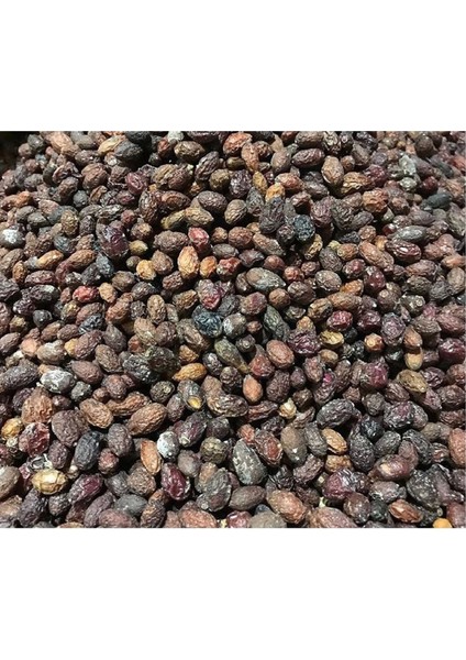 Derya Eren Kızılcık Kurusu (Cornus Mas) 100 G