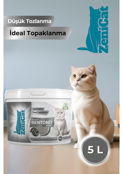 Aktif Karbonlu Kedi Kumu Ince Taneli Doğal Bentonit 5 Lt fiyatları