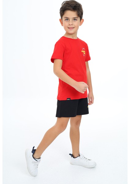 Erkek Çocuk Baskılı Şortlu Takım fırsatları