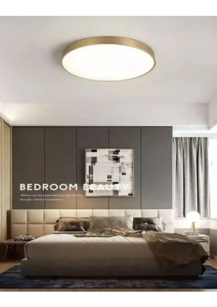 24W Gold Kasa Tavana Sıfır Ledli Avize 30' cm Çapında Büyük Boy 6500K Beyaz Işık fiyatları