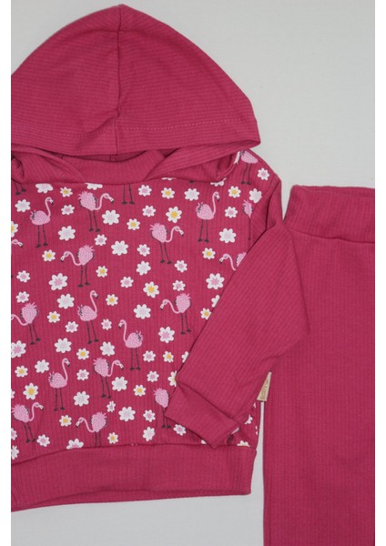Kız Çocuk Flamingo Desenli Kapüşonlu Takım - Fuşya, Açık Pembe