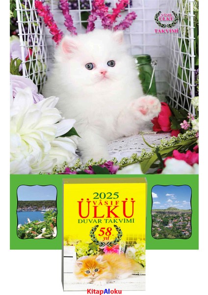Ülkü Takvimcilik 2025 Vasıf Ülkü Duvar Takvimi Arkalı Önlü Kedi ve Istanbul Manzaralı Arka Karton(Kod:05)