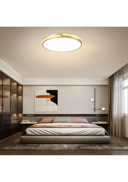 Gold Şerit Akrilikli Kumandalı Dimli 3 Işık Renkli 50 cm LED Tavan Lambası, Modern Aydınlatma fırsatları