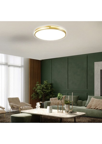 Gold Şerit Akrilikli Kumandalı Dimli 3 Işık Renkli 50 cm LED Tavan Lambası, Modern Aydınlatma indirimleri