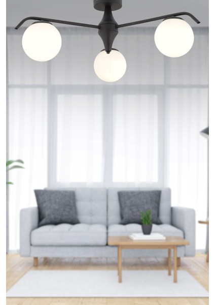 Diaspor 3'lü Yuvarlak Siyah Beyaz Camlı Modern Plafonyer Genç Odası Yatak Odası Retro Salon Avize