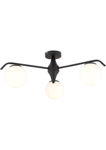 Diaspor 3'lü Yuvarlak Siyah Beyaz Camlı Modern Plafonyer Genç Odası Yatak Odası Retro Salon Avize fiyatları