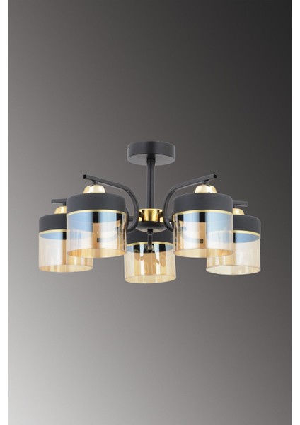 Fırat 5 Li Modern Plf (Siyah Gold) Bal Camlı Salon Mutfak Yatak Odası Genç Odası Avize modelleri