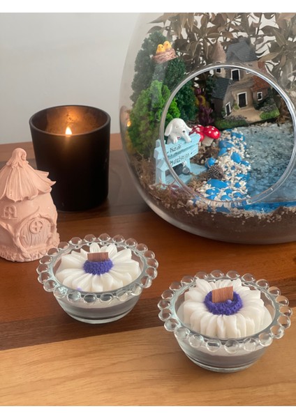 Boncukseri Papatya Soya Wax Mum fiyatları