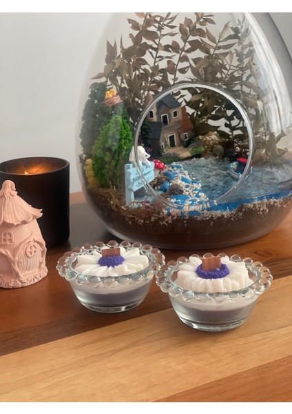 Boncukseri Papatya Soya Wax Mum modelleri