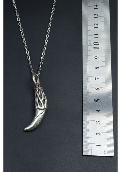 Kurt Dişi Gümüş Kaplama Unisex Düz Zincir Kolye kod 790 fırsatları