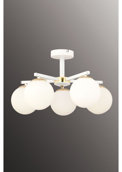 Lamela Beyaz Glob Camlı 5'li Modern Beyaz Plafonyer Avize Salon Oturma Odası fiyatları