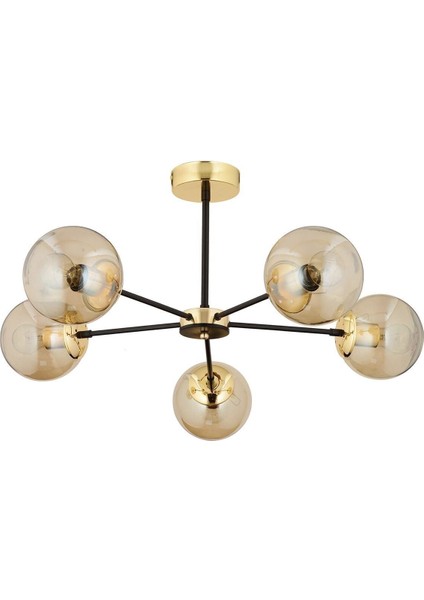 Nide 5li Siyah Gold Bal Camlı Modern Genç Odası Yatak Odası Retro Salon Avize