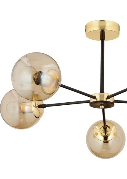 Nide 5li Siyah Gold Bal Camlı Modern Genç Odası Yatak Odası Retro Salon Avize