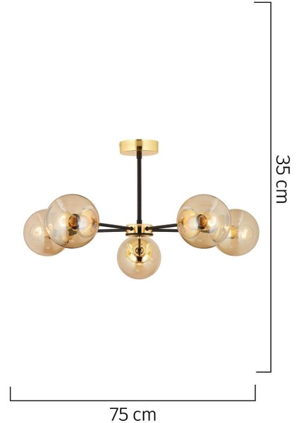 Nide 5li Siyah Gold Bal Camlı Modern Genç Odası Yatak Odası Retro Salon Avize